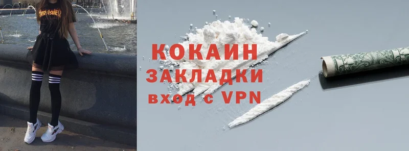 MEGA онион  сколько стоит  Ивдель  Cocaine Fish Scale 